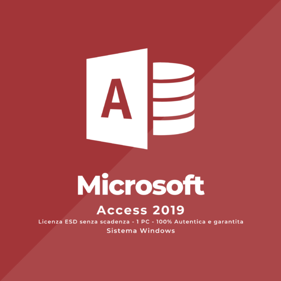 ACCESS 2019