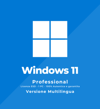 windows 11 pro 1